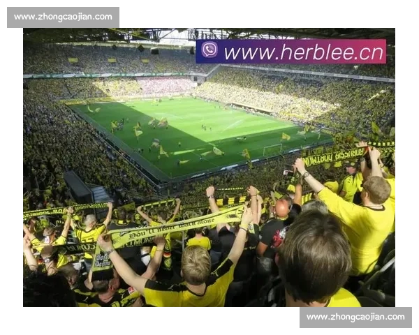 全球赛事聚焦精彩足球直播全程解析与实时互动平台打造沉浸式观赛新体验